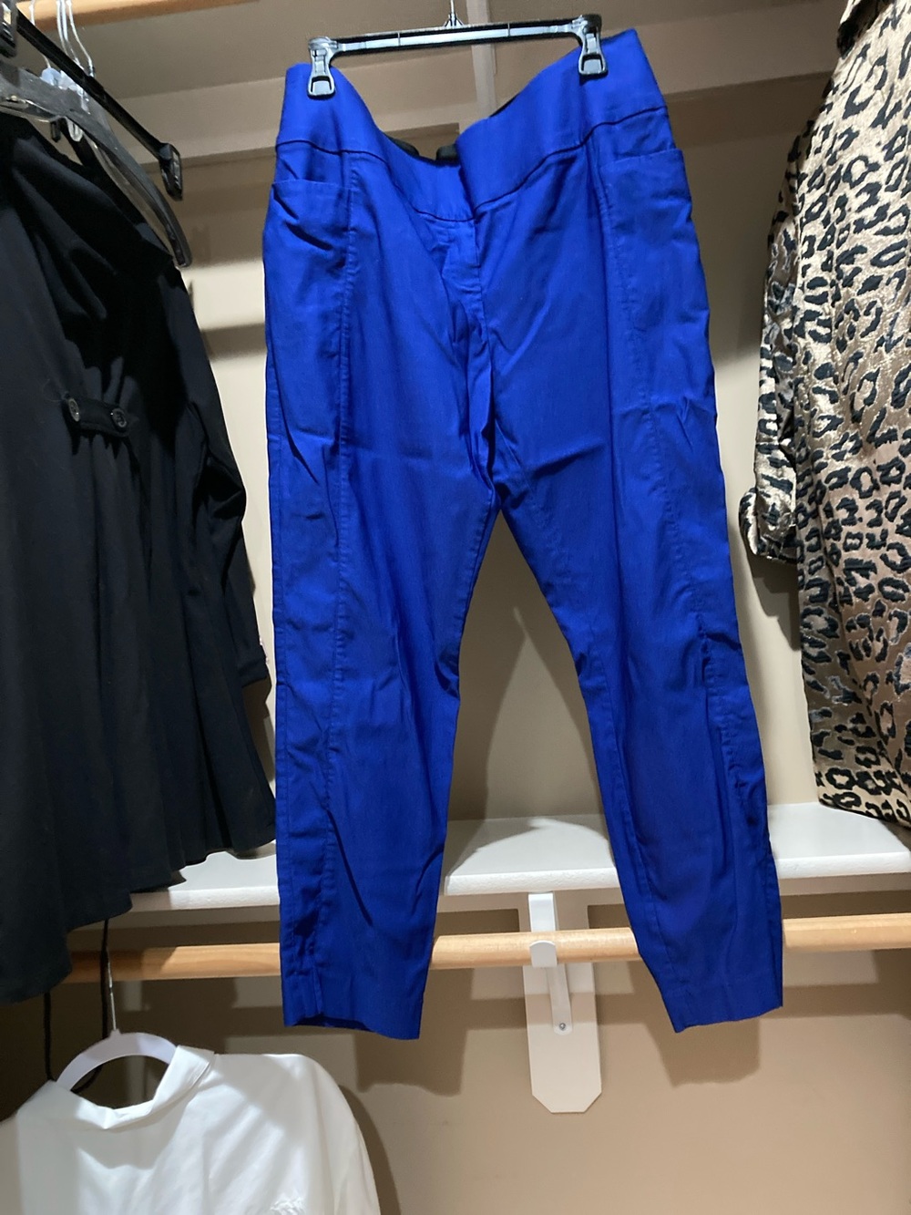Apt. 9 Cobalt Blue Women's Chinos